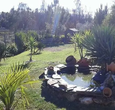 Homestay Familiaridade E Conforto Pedrogao Grande