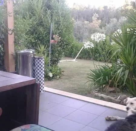 Homestay Familiaridade E Conforto Pedrogao Grande